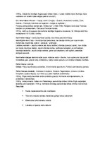 Konspekts 'Reformācija', 2.