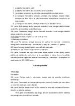 Referāts 'Francijas 1791. un 1810.gada Kriminālkodekss', 12.