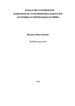 Referāts 'Ergonomika darbā', 1.