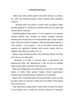 Referāts 'Ergonomika darbā', 6.