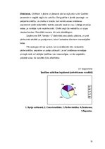 Diplomdarbs 'Sabiedrisko attiecību speciālista komunikatīvā kompetence darbā ar klientiem uzt', 33.