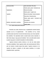 Diplomdarbs 'Elektrohologrāfiskās ierīces', 15.