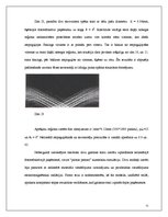 Diplomdarbs 'Elektrohologrāfiskās ierīces', 51.