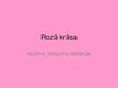 Prezentācija 'Rozā krāsa, tās nozīme, lietojums reklāmās', 1.