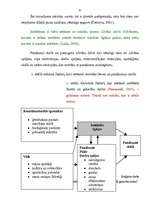 Diplomdarbs 'Bērna dzimšanas kārtība ģimenē un intelektuālā gatavība skolai', 37.