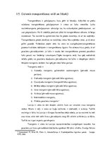 Referāts 'Transporta un loģistikas nozares uzņēmuma pamatprocesi', 4.