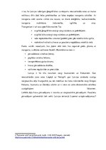 Referāts 'Transporta un loģistikas nozares uzņēmuma pamatprocesi', 5.