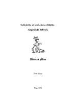 Biznesa plāns 'SIA „Augstākās debesis”', 1.