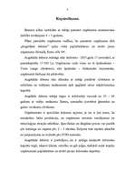 Biznesa plāns 'SIA „Augstākās debesis”', 3.