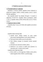 Biznesa plāns 'SIA „Augstākās debesis”', 4.