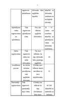 Biznesa plāns 'SIA „Augstākās debesis”', 7.