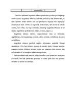 Biznesa plāns 'SIA „Augstākās debesis”', 8.