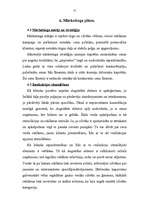 Biznesa plāns 'SIA „Augstākās debesis”', 12.