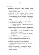 Biznesa plāns 'SIA „Augstākās debesis”', 16.