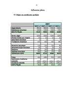 Biznesa plāns 'SIA „Augstākās debesis”', 18.