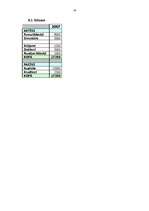 Biznesa plāns 'SIA „Augstākās debesis”', 19.