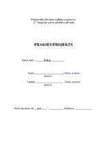 Konspekts 'Gada plāns boksā', 1.