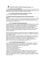 Konspekts 'Gada plāns boksā', 7.