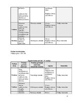 Konspekts 'Gada plāns boksā', 15.