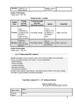 Konspekts 'Gada plāns boksā', 16.