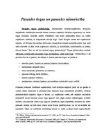 Konspekts 'Pasaules tirgus un pasaules saimniecība', 1.