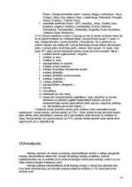 Referāts 'Budžets', 33.