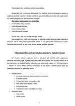 Konspekts 'Tirdzniecības vieta Latvijas tautsaimniecībā un tās attīstības dinamika', 6.