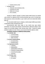 Konspekts 'Tirdzniecības vieta Latvijas tautsaimniecībā un tās attīstības dinamika', 7.