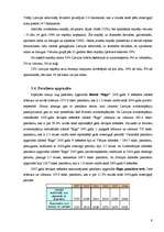 Referāts 'Tūrisms', 9.