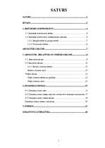 Referāts 'Latvijas IKP raksturojums', 1.