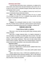 Referāts 'Latvijas IKP raksturojums', 12.