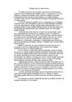 Eseja 'Pelēkā jeb ēnu ekonomika', 1.