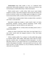 Referāts 'Dažādu filosofisko virzienu ietekme uz audzināšanu. Eksistenciālisms', 12.