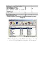 Konspekts 'Arhivatoru salīdzinājums', 3.