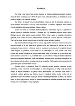 Referāts 'Biatlona un distanču slēpošanas attīstības iespējas Talsu novadā', 3.