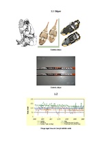 Referāts 'Biatlona un distanču slēpošanas attīstības iespējas Talsu novadā', 27.