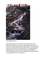 Referāts 'Dabas liegums "Mežmuižas avoti"', 4.