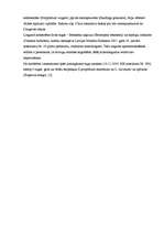 Referāts 'Dabas liegums "Mežmuižas avoti"', 14.