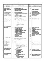 Konspekts 'Sporta stundu konspekti vidusskolai', 2.