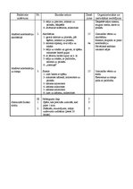 Konspekts 'Sporta stundu konspekti vidusskolai', 8.