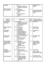 Konspekts 'Sporta stundu konspekti vidusskolai', 15.