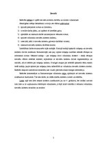 Referāts 'Viduslaiku sieviešu klosteru darbība un nozīme', 3.