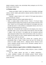 Referāts 'Gaisa kvalitātes, trokšņa un atkritumu apsaimniekošanas situācija Liepājas pilsē', 14.