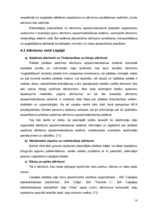 Referāts 'Gaisa kvalitātes, trokšņa un atkritumu apsaimniekošanas situācija Liepājas pilsē', 18.