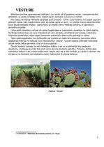 Prezentācija 'Meksikāņu virtuve', 3.