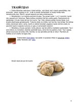 Prezentācija 'Meksikāņu virtuve', 6.