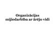 Prezentācija 'Organizācijas vide', 1.