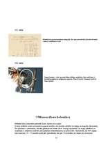 Referāts 'Sapņi', 31.