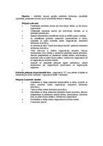 Referāts 'Darbinieku nemateriālie stimulēšanas veidi organizācijā', 3.