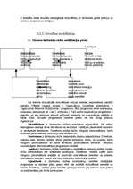 Referāts 'Darbinieku nemateriālie stimulēšanas veidi organizācijā', 14.
